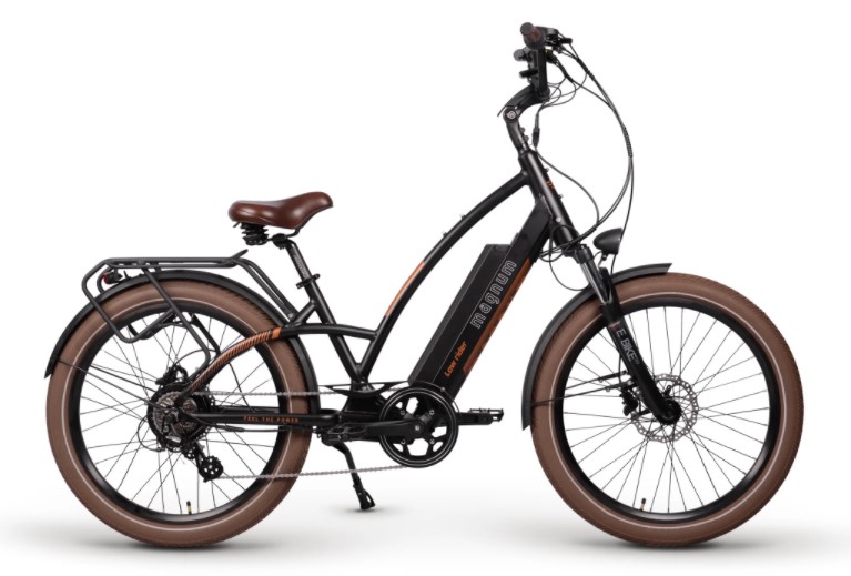 Read more about the article E-Bike Raffle at Martinfest!